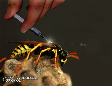 Photoshop Design by withfang