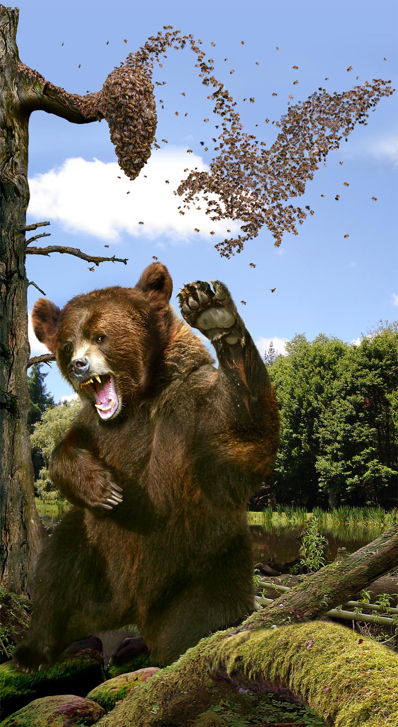 Photoshop Design by Norrit for DesignCrowd (Community Contests) | Design #9053323