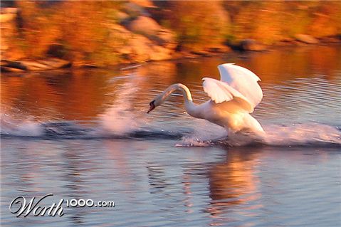 Photography by Momspc