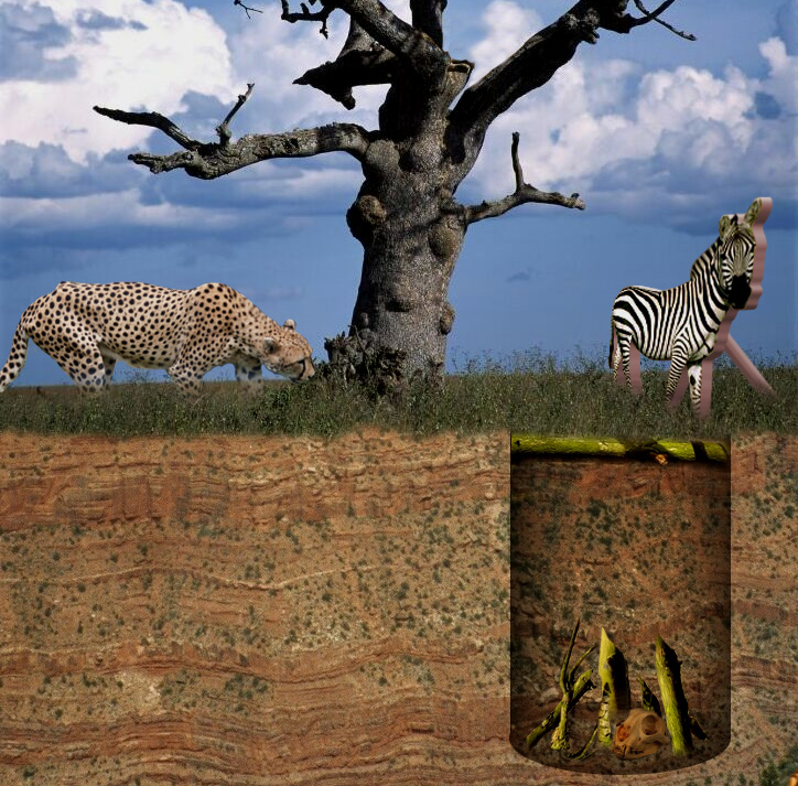 Design Photoshop par frankenstijn pour DesignCrowd (Community Contests) | Design #9053442