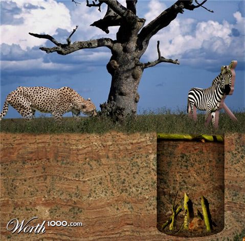 Photoshop Design by frankenstijn