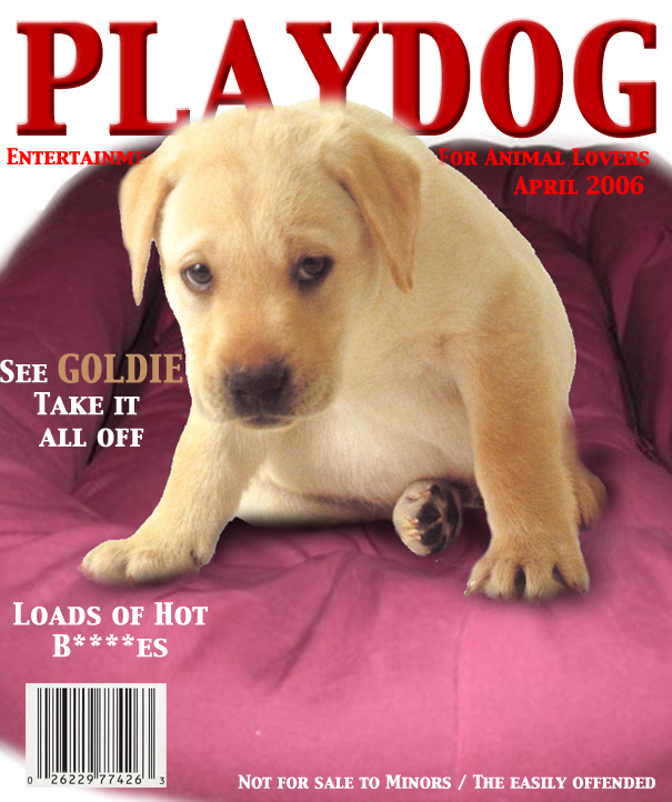 Photoshop Design by whitebread1440 for DesignCrowd (Community Contests) | Design #9044215