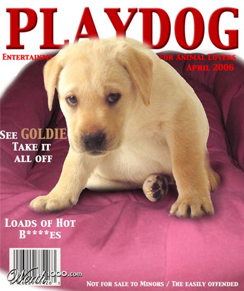 Photoshop Design by whitebread1440