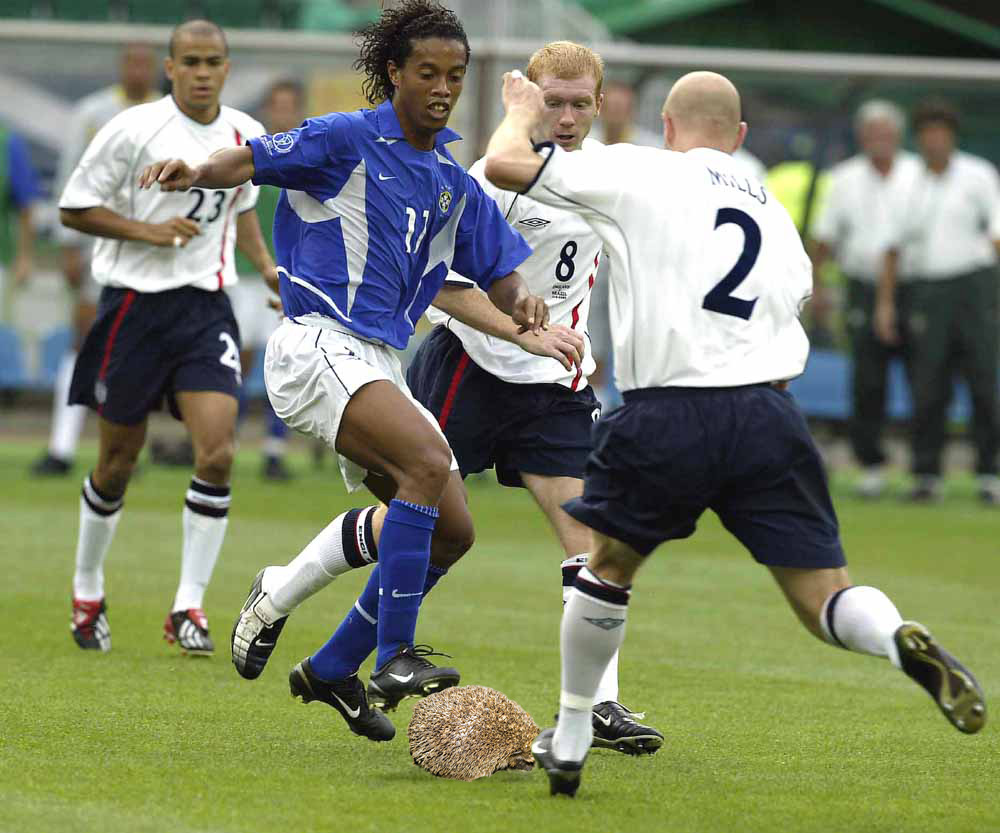 Photoshop Design by majkie for DesignCrowd (Community Contests) | Design #9044225