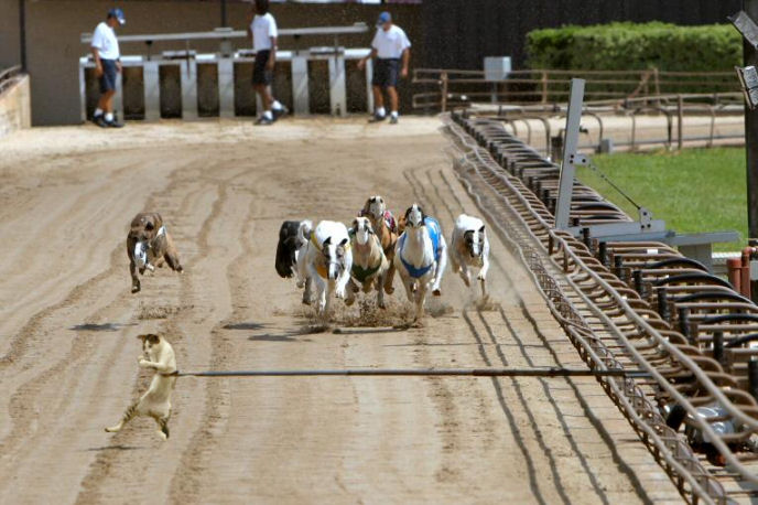 Photoshop Design by Irrwitzer for DesignCrowd (Community Contests) | Design #9044266