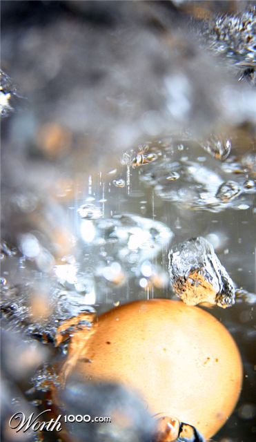 Photography by marikat