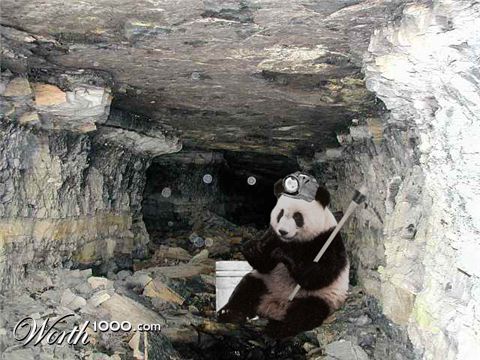 Photoshop Design by kevxxii