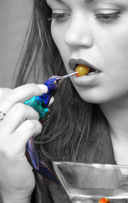 Photoshop Design by hypnotode for DesignCrowd (Community Contests) | Design #9044241