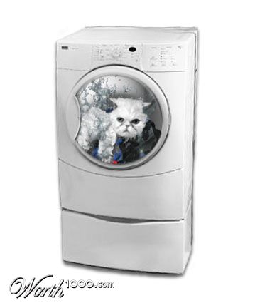 Photoshop Design by scratattack5