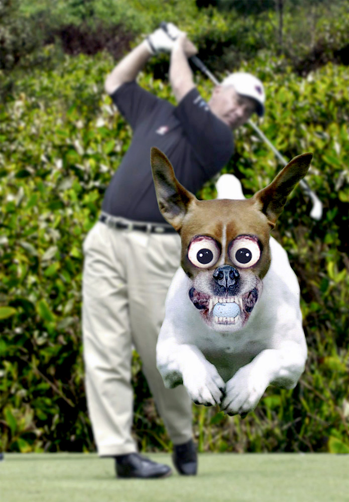 Photoshop Design by ozplasmic for DesignCrowd (Community Contests) | Design #9044287