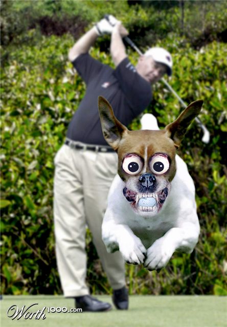 Photoshop Design by ozplasmic