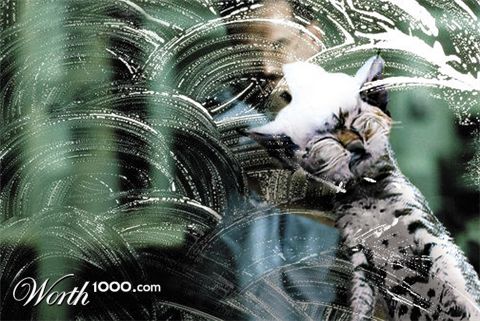 Photoshop Design by Lulusmagicalcactuar