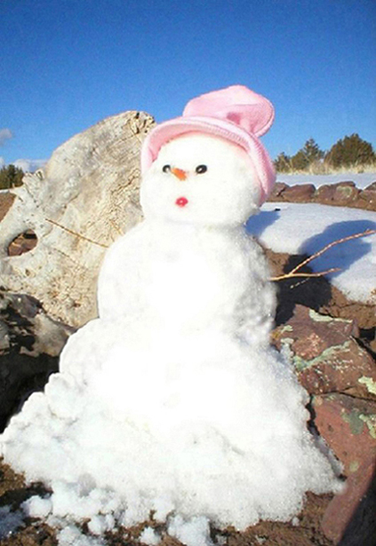 Photography by ShooterSue for DesignCrowd (Community Contests) | Design #9055278