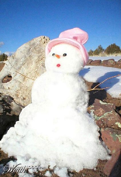 Photography by ShooterSue