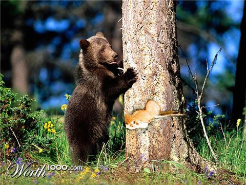 Photoshop Design by cherriesjubilee