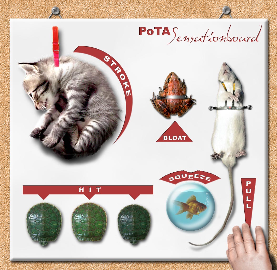 Photoshop Design by wildmieze for DesignCrowd (Community Contests) | Design #9044452