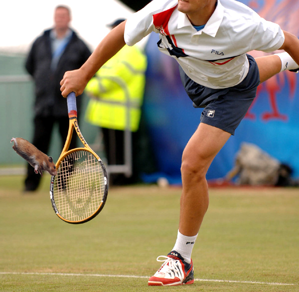 Photoshop Design by Sammyy for DesignCrowd (Community Contests) | Design #9044372