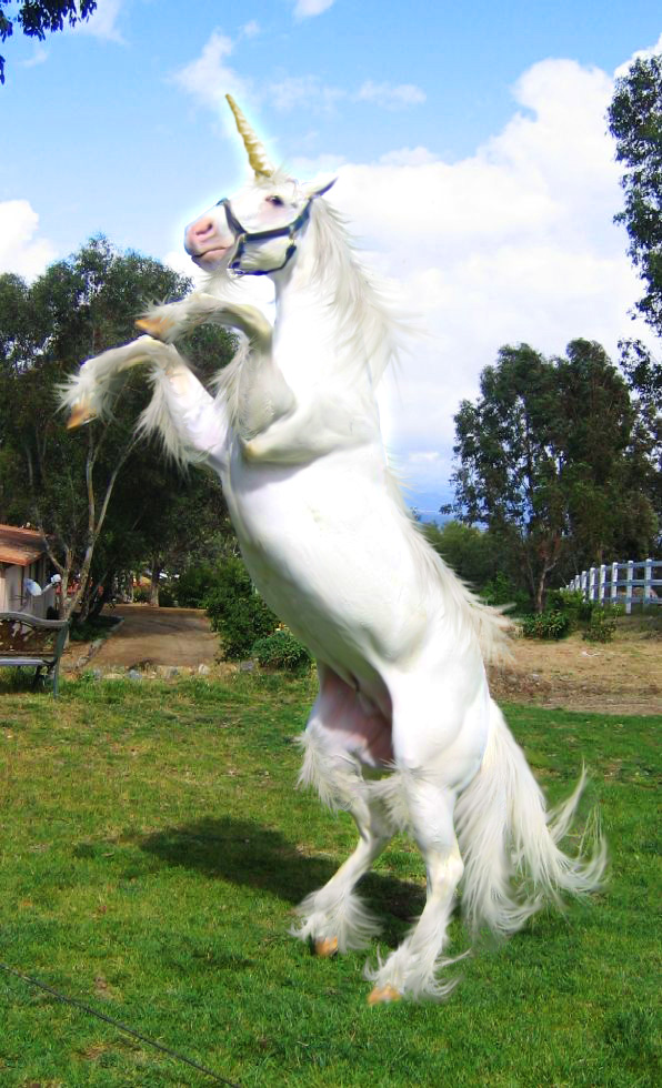 Design Photoshop par Gramlengo pour DesignCrowd (Community Contests) | Design #9043308