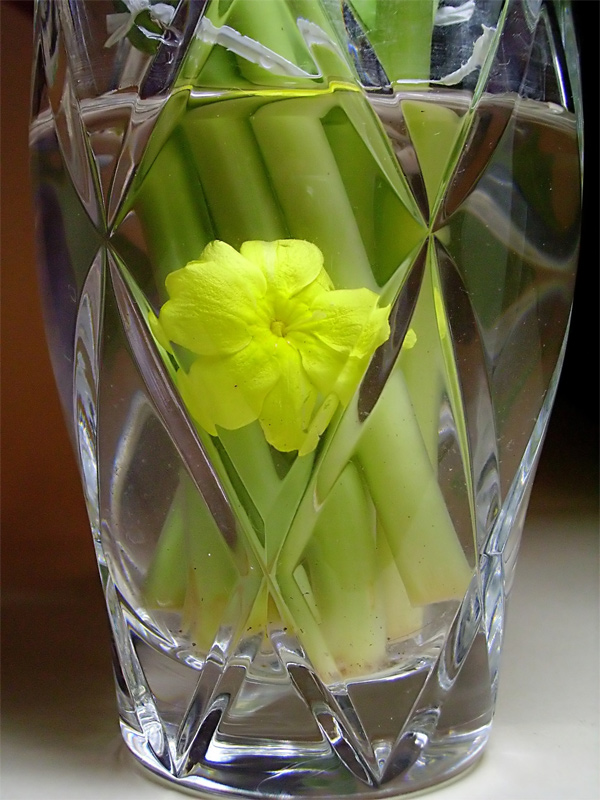 Fotografie von IsleofJura für DesignCrowd (Community Contests) | Design #9056011