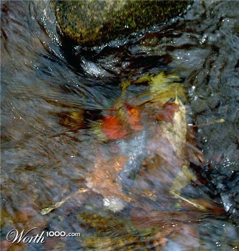 Photography by MendingWings