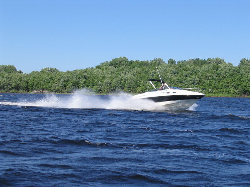 Photography by MissTish for DesignCrowd (Community Contests) | Design #9041536