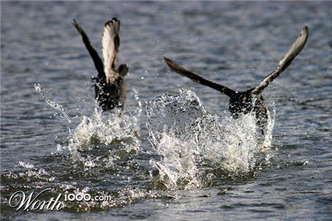 Photography by Alnath