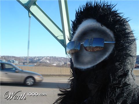 Photography by Spacejunk