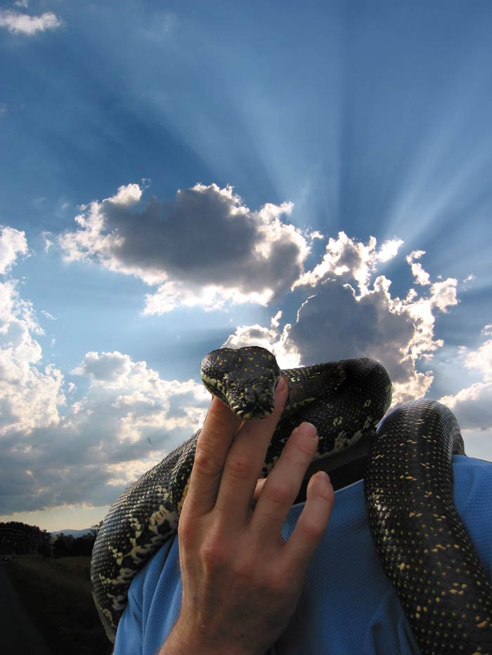 Photography by Budmulla for DesignCrowd (Community Contests) | Design #9041767