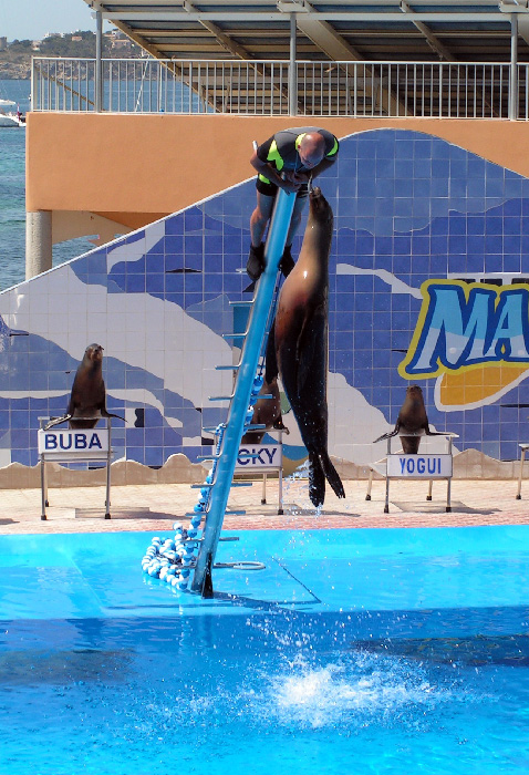 Fotografie von bobblainey für DesignCrowd (Community Contests) | Design #9041705