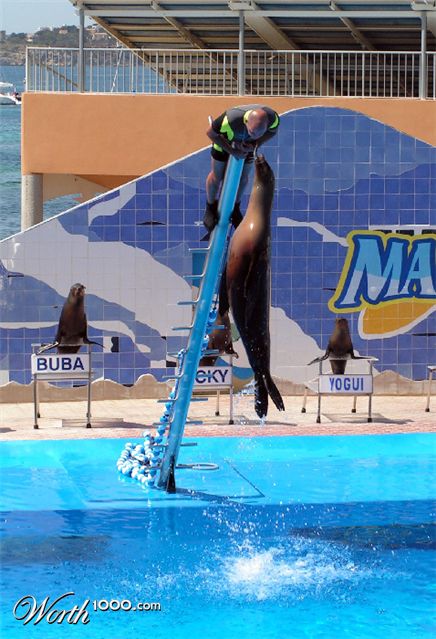 Photography by bobblainey