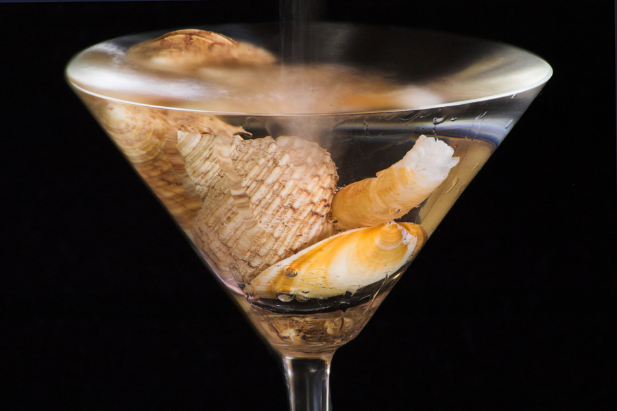 Fotografie von kimbomac für DesignCrowd (Community Contests) | Design #9056079