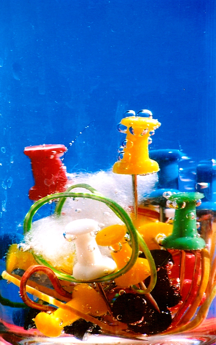 Photography by kalyangantait for DesignCrowd (Community Contests) | Design #9056110