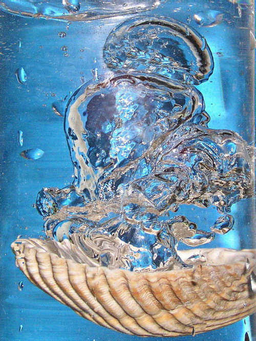 Fotografie von mzmzmzmz für DesignCrowd (Community Contests) | Design #9056029