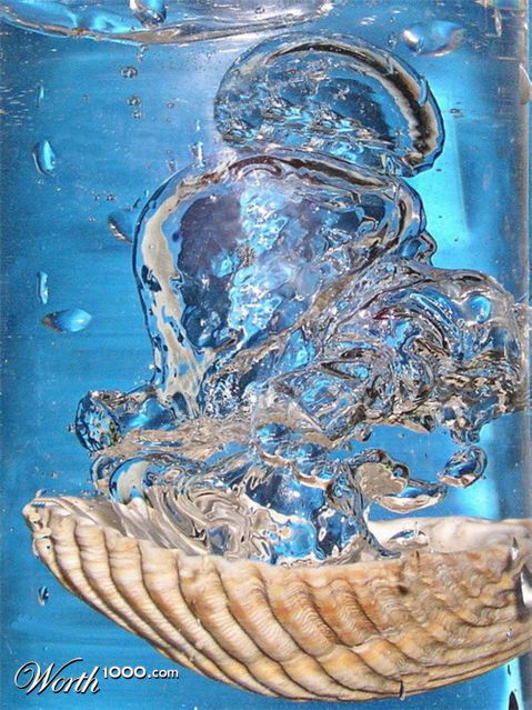 Photography by mzmzmzmz