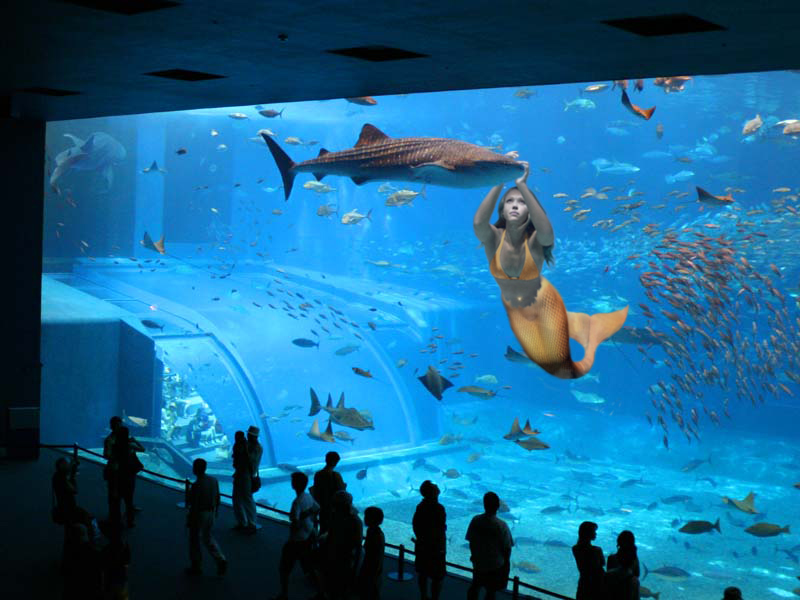 Photoshop Design by cdshaut for DesignCrowd (Community Contests) | Design #9055187