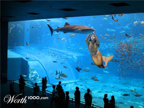 Photoshop design by cdshaut for DesignCrowd (Community Contests)