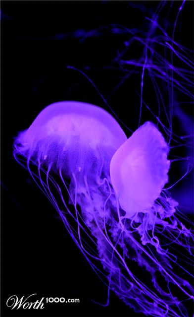 Photography by mare53