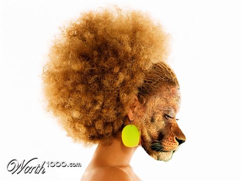 Photoshop Design by bottler