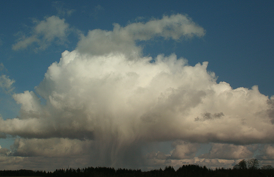 Photography by Momsen for DesignCrowd (Community Contests) | Design #9044105