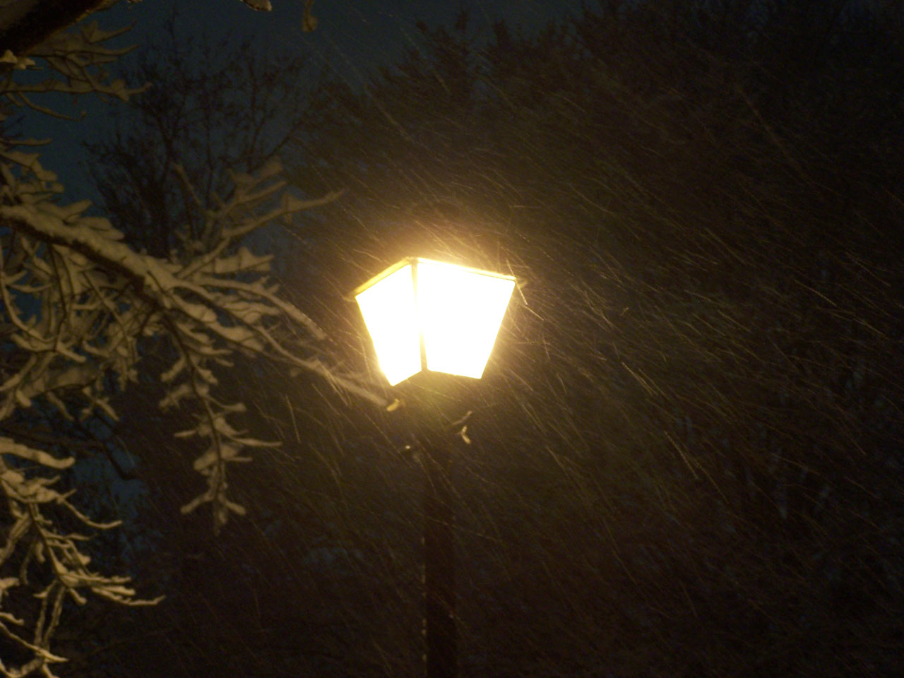Photography by peter7431 for DesignCrowd (Community Contests) | Design #9044118