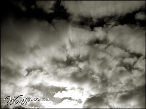 Photography by zensoul