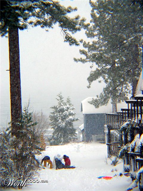 Photography by ljvgtj