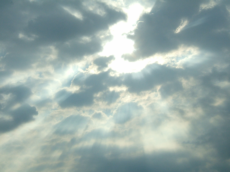 Fotografía por bbygurl1981 para DesignCrowd (Community Contests) | Diseño #9044181