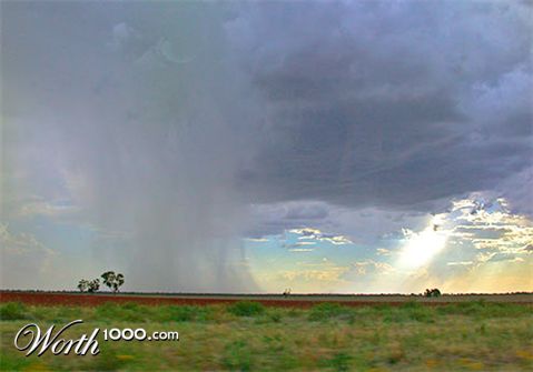 Photography by dazza17