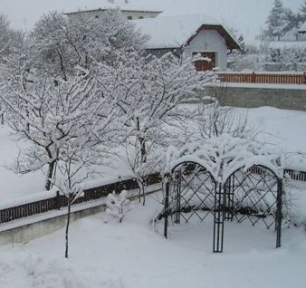 Fotografía por gymp93 para DesignCrowd (Community Contests) | Diseño #9044172