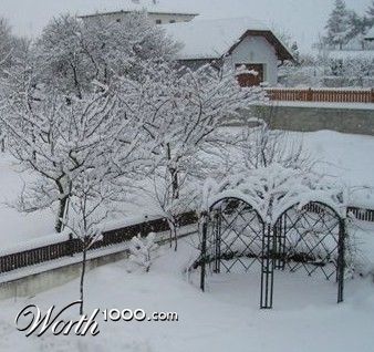 Photography by gymp93