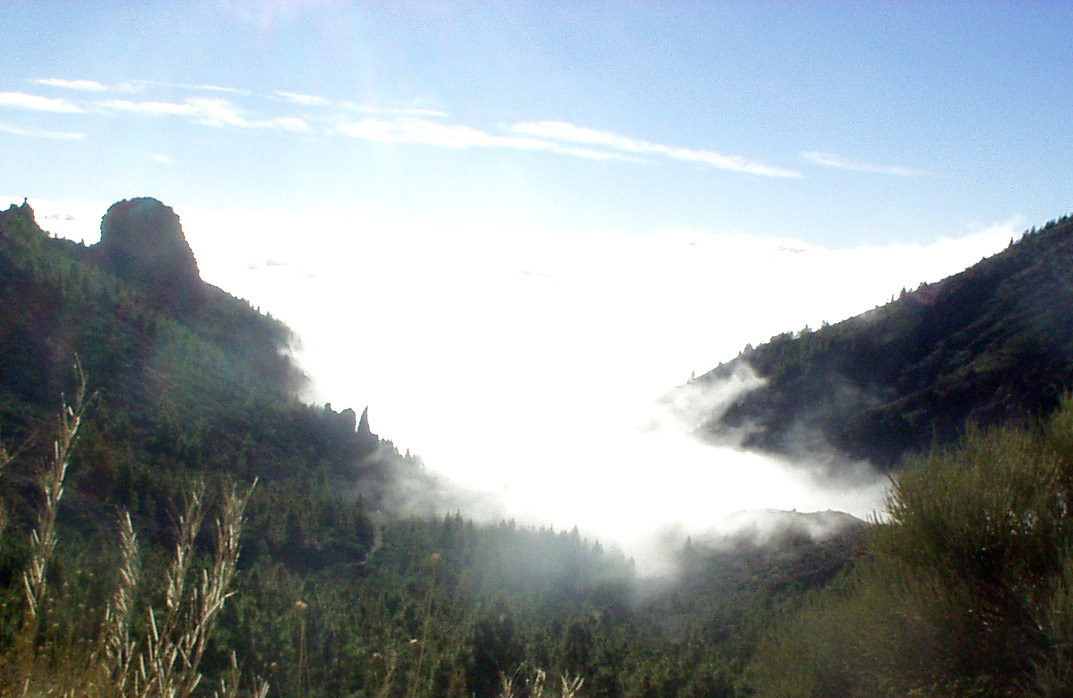 Fotografía por RoseDragoon para DesignCrowd (Community Contests) | Diseño #9044179