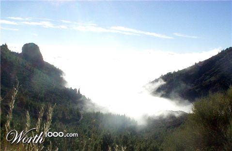 Photography by RoseDragoon