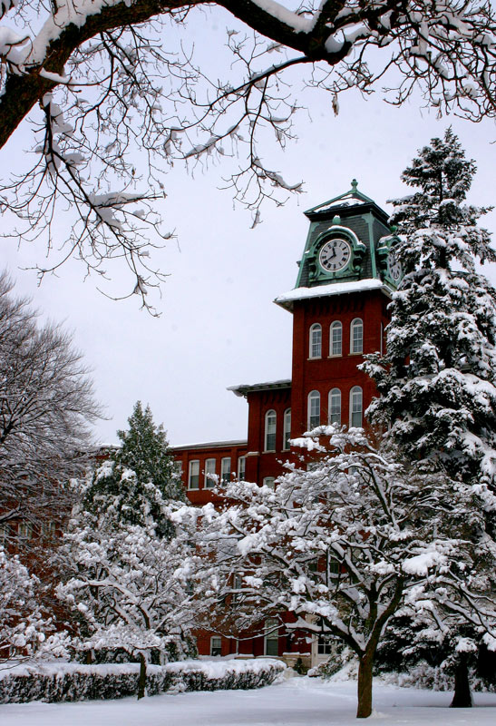 Photography by rdchdwck for DesignCrowd (Community Contests) | Design #9044148