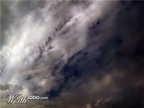 Photography by jardel